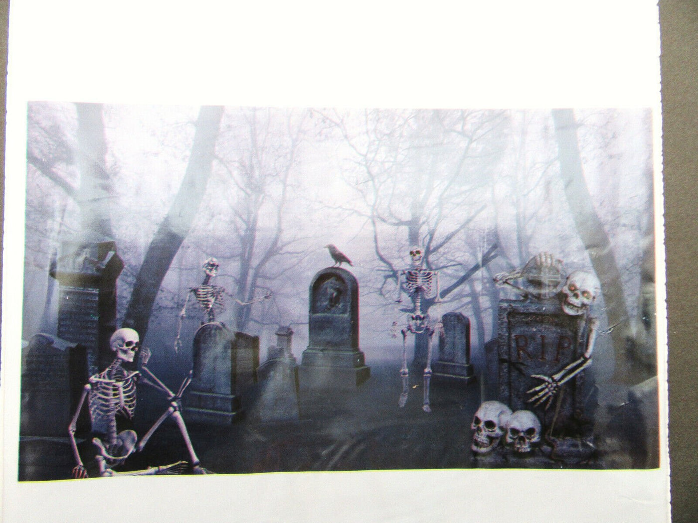 Wall Decoration ~ Skeletons Grave Yard ~ 42 x 72 inch ~ Happy Halloween!