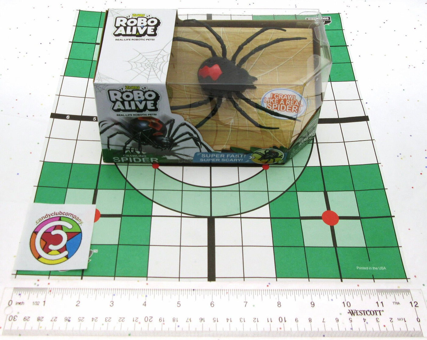Robo Alive ~ Redback spider ~ Crawles Like A Real Spider ~ By Zuru