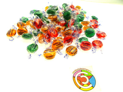 Coastal Bay Fat / SUGAR FREE 16oz Assorted Fruit Flavors Hard Candy 1 One Pound