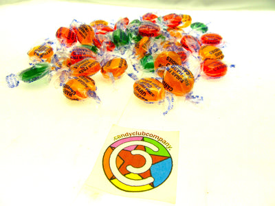 Coastal Bay Fat / SUGAR FREE 8oz Assorted Fruit Flavors Hard Candy Candies